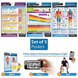 Exercise and Training Essentials Posters - Set of 3 | Laminated Exercise Posters | Size - 850mm x 594mm (A1) | Prepare the Body for Physical Training and Workouts | Improves Personal Fitness
