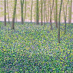 Susan Entwistle Art et Jacinthes Chélidoine Cartes de vœux, 15 cm x 15 cm, Multicolore, Lot de 6