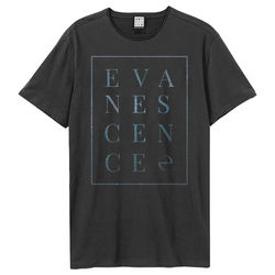 Amplified Unisex Adult Block Evanescence T-Shirt