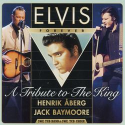 Åberg Henrik/J Baymoore: A tribute to the king (2 CD)