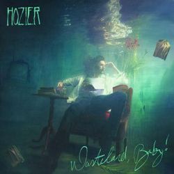 Hozier: Wasteland baby! (2 Vinyl LP)