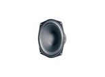 Visaton WS 20 E 4 OHM - speaker driver