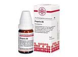 PROPOLIS D 6 Globuli 10 g