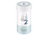 BIOCHEMIE Pflüger 2 Calcium phosphoricum D 6 Pulv. 100 g