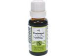 CRATAEGUS F Komplex 42 Dilution 20 ml