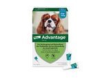ADVANTAGE 100 Lösung f.Hunde 4-10 kg 4 St