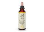 BACHBLÜTEN Cerato Tropfen 20 ml