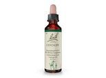 BACHBLÜTEN Centaury Tropfen 20 ml