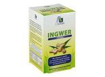 INGWER 500 mg Kapseln+Vitamin B1+C 90 St