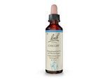 BACHBLÜTEN Chicory Tropfen 20 ml