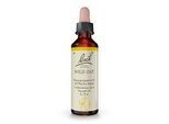 BACHBLÜTEN Wild Oat Tropfen 20 ml