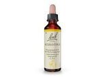BACHBLÜTEN Scleranthus Tropfen 20 ml