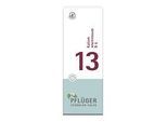 BIOCHEMIE Pflüger 13 Kalium arsenicosum D 6 Tabl. 100 St