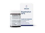 BRYOPHYLLUM 50% Pulver zum Einnehmen 20 g