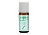 TEEBAUM ÖL 10 ml