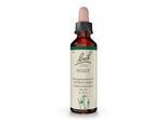 BACHBLÜTEN Holly Tropfen 20 ml