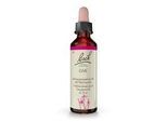 BACHBLÜTEN Oak Tropfen 20 ml