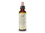 BACHBLÜTEN Chestnut Bud Tropfen 20 ml