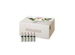 BACHBLÜTEN 10 ml Set Tropfen 400 ml