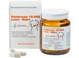 PANKREATIN 20.000 Laves Mikro magensaftr.Hartkaps. 50 St