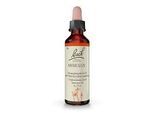 BACHBLÜTEN Mimulus Tropfen 20 ml
