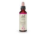BACHBLÜTEN Larch Tropfen 20 ml