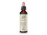 BACHBLÜTEN Walnut Tropfen 20 ml
