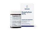 BRYOPHYLLUM 50% Pulver zum Einnehmen 50 g