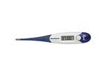 DOMOTHERM Rapid Fieberthermometer 1 St