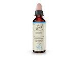 BACHBLÜTEN Beech Tropfen 20 ml