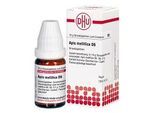 APIS MELLIFICA D 6 Globuli 10 g