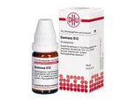 DAMIANA D 12 Globuli 10 g