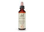 BACHBLÜTEN Rock Rose Tropfen 20 ml