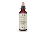 BACHBLÜTEN Heather Tropfen 20 ml