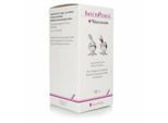 INFECTOPEDICUL Lösung + Nissenkamm 250 ml