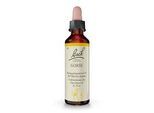 BACHBLÜTEN Gorse Tropfen 20 ml