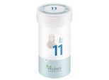 BIOCHEMIE Pflüger 11 Silicea D 12 Pulver 100 g