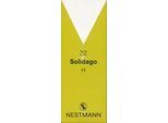 SOLIDAGO H 32 Tropfen 100 ml