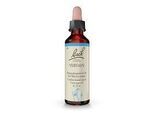 BACHBLÜTEN Vervain Tropfen 20 ml