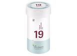 BIOCHEMIE Pflüger 19 Cuprum arsenicosum D 6 Tabl. 400 St