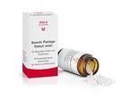 BRONCHI PLANTAGO Globuli velati 20 g
