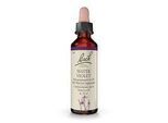 BACHBLÜTEN Water Violet Tropfen 20 ml