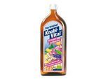 KNOBIVITAL mit Ingwer und Holunder Bio 960 ml