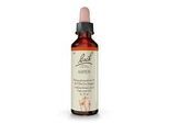 BACHBLÜTEN Aspen Tropfen 20 ml