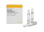 MUCOSA compositum Ampullen 10 St