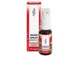 MUNDSPRAY 20 ml