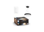 Philips Hue Enrave Pendelleuchte (Schwarz) *DEMO*