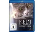 Kedi - Von Katzen und Menschen (Blu-ray)