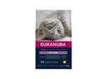 Eukanuba Kitten Healthy Start 10kg