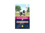 Eukanuba Senior Medium Breed 3 kg